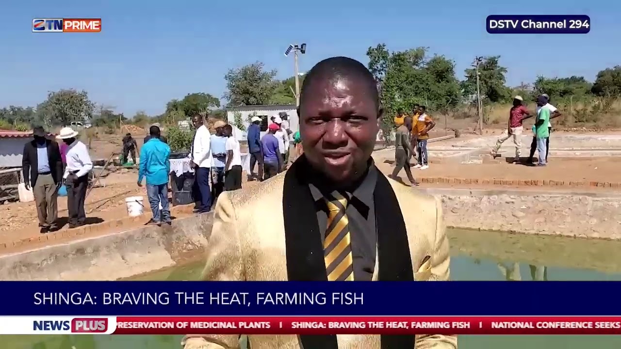 Shinga : Braving the heat, farming fish | ZTN