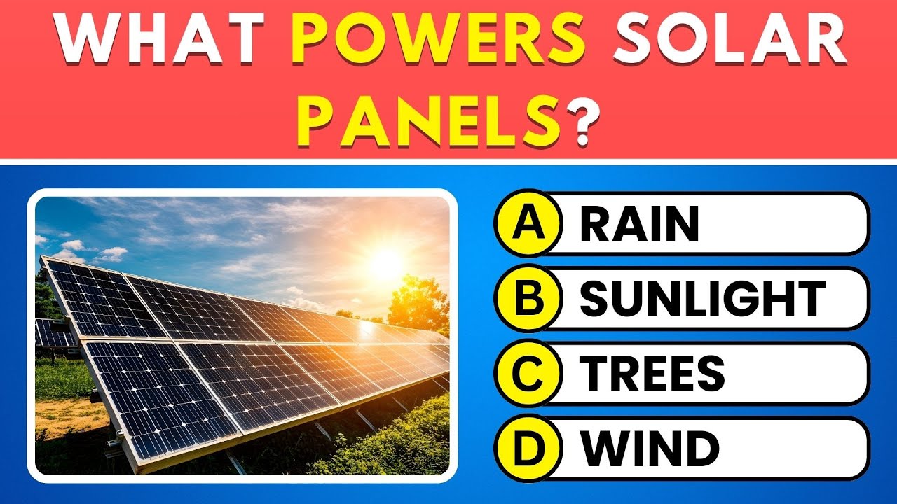 Can You Pass This 30-Question General Knowledge Quiz? | Wisdom Time Live Stream