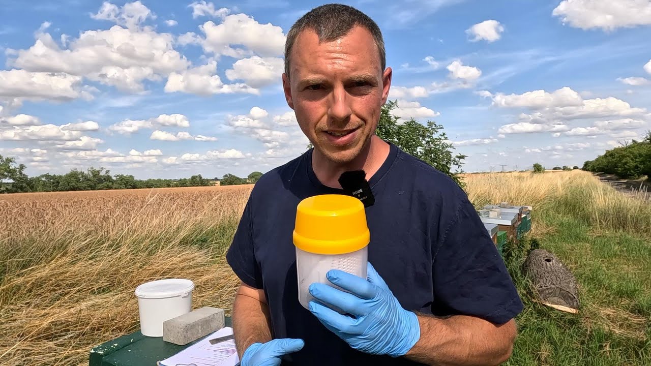 Die wirklich wichtigen Dinge stehen an - Diagnose Varroabelastung