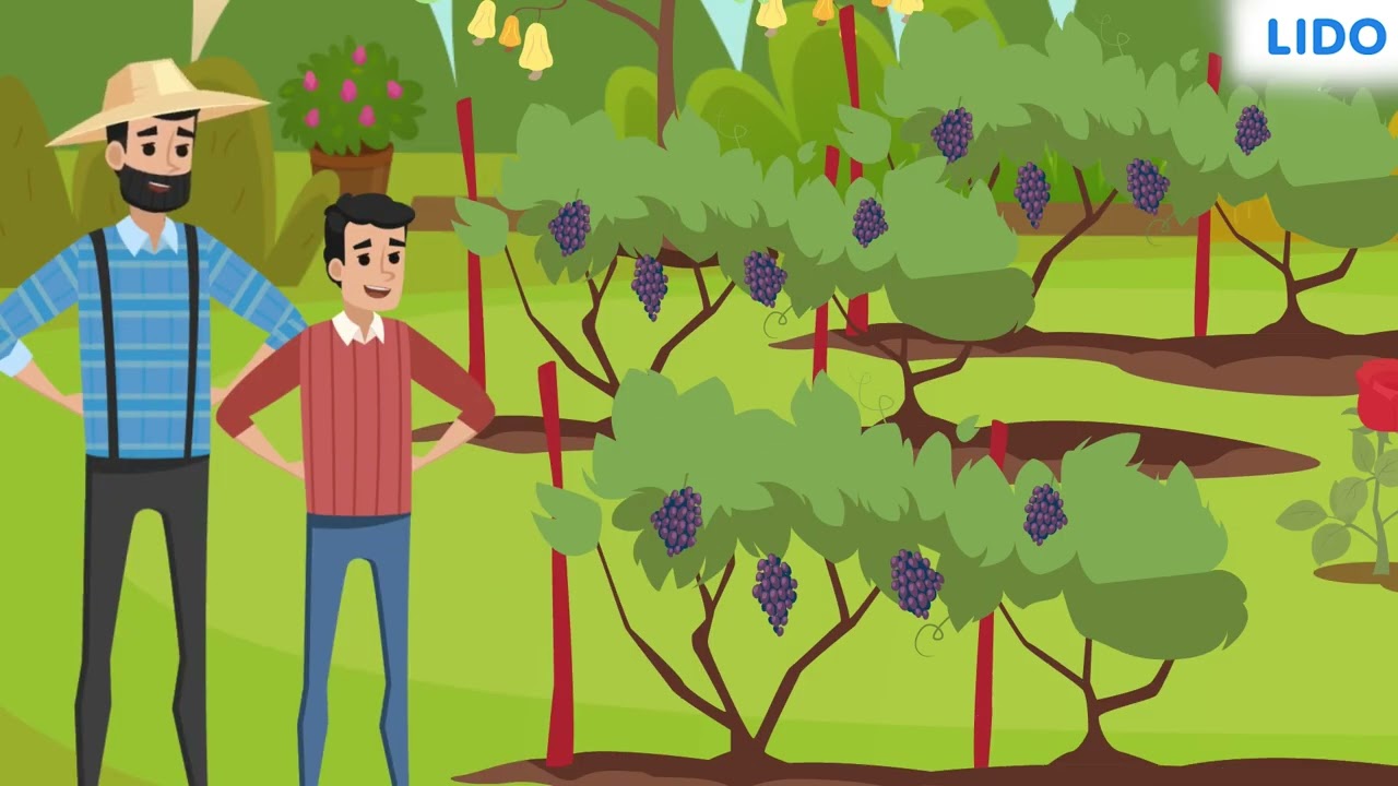 Artificial Vegetative Propagation | Modes of Reproduction | Class 10 Science ICSE