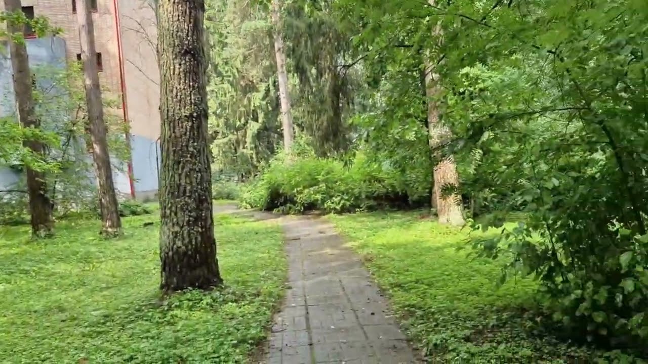 Яхонты Истра. Мое мнение как есть.