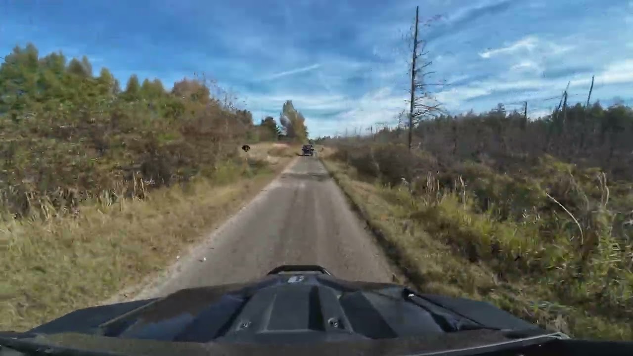 DJI 20251010111033 0003 D