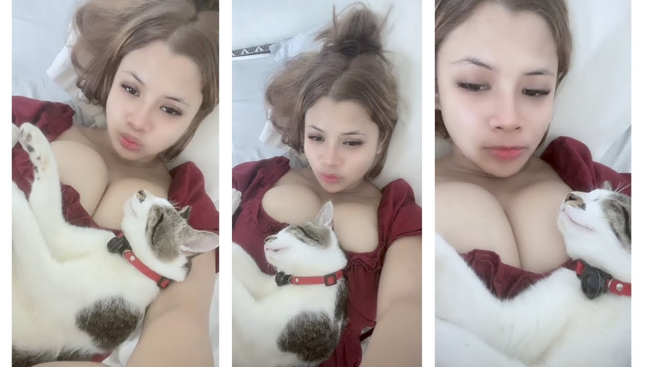 KUCING TIDUR PULAS PUNYA BANTAL TOBRUT BAHENOL