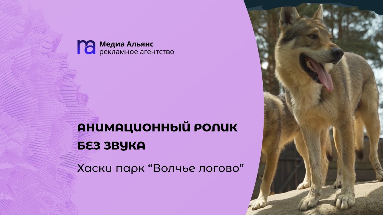 Анимационный ролик без звука. Хаски-парк 
