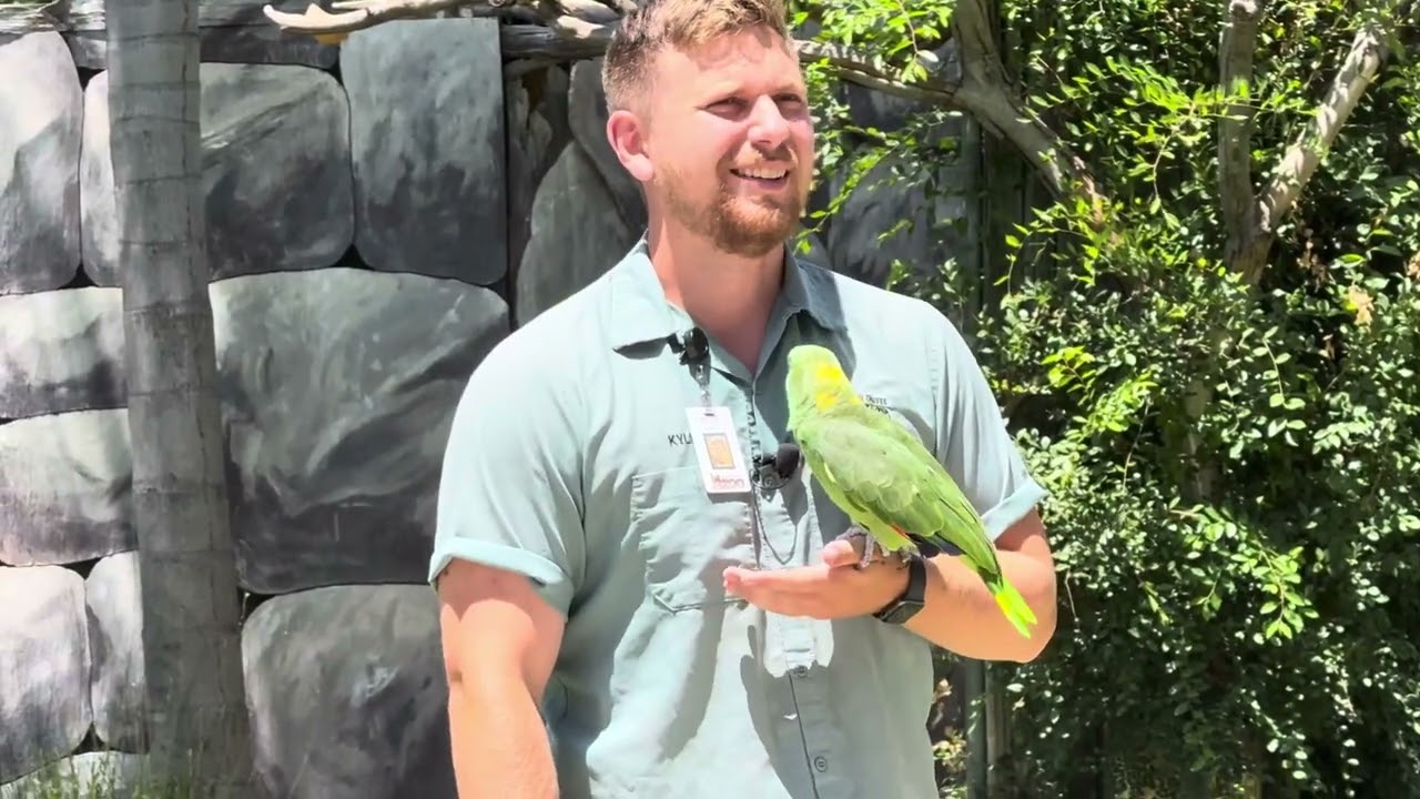 The bird show - Fresno Chaffee Zoo