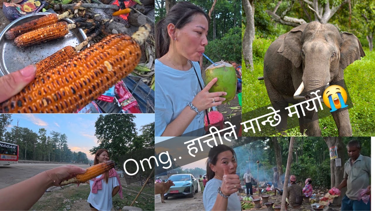 सावाधान..! यो बाटो भएर हिड्दै हुनुहुन्छ..? तपाई माथि पनि यस्तो घटना घट्न सक्छ नि..