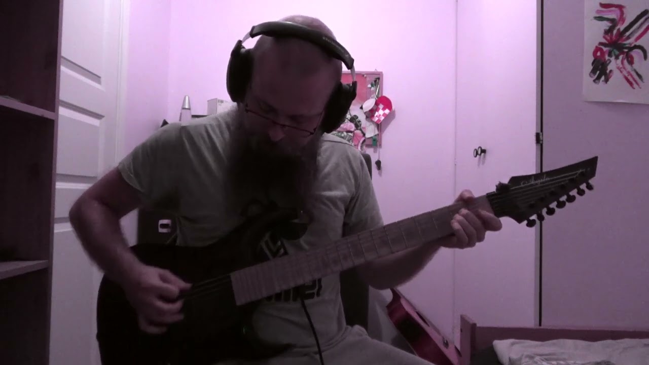 Gojira - Flying Whales (Cover)