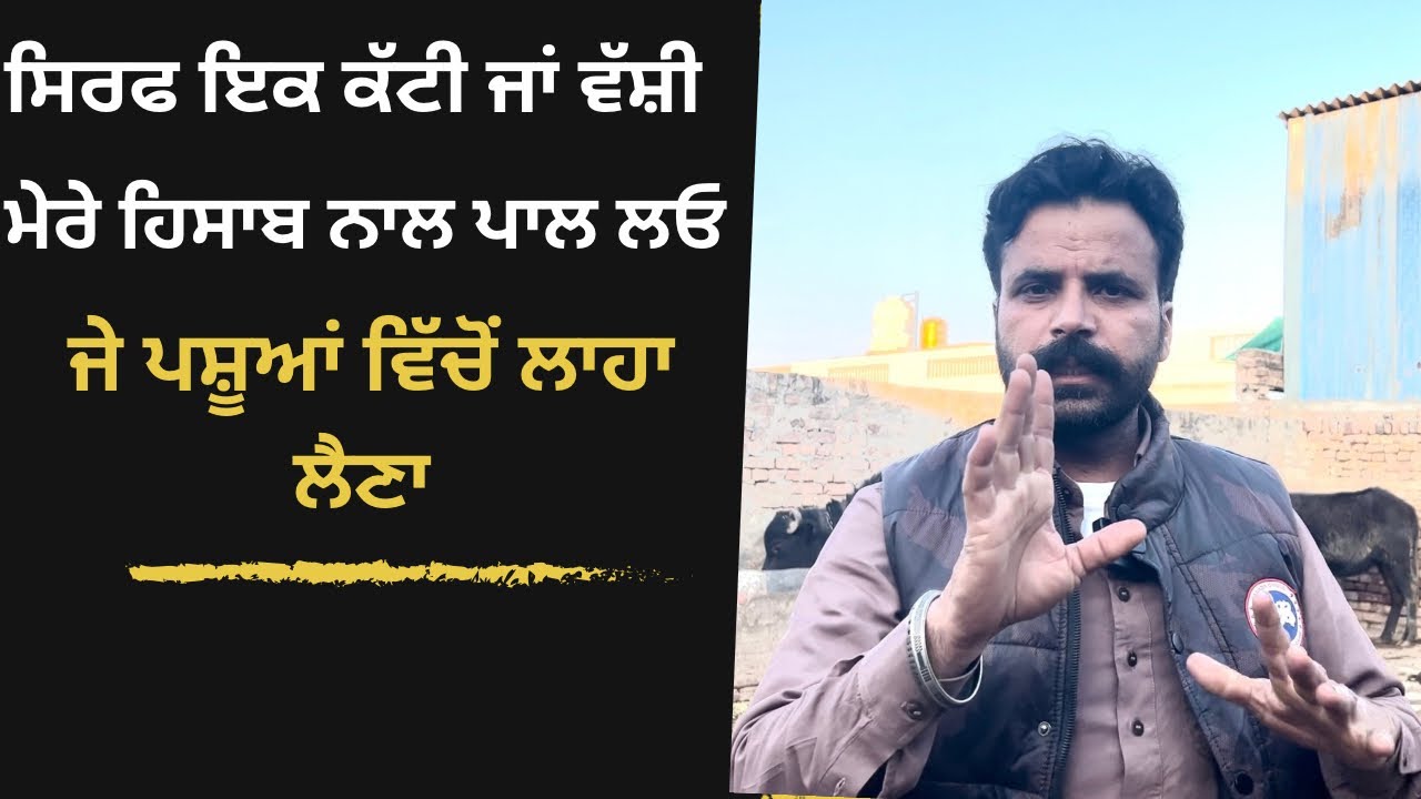 ਸਿਰਫ ਇਕ ਕੱਟੀ ਵੱਸ਼ੀ ਮੇਰੇ ਹਿਸਾਬ ਨਾਲ ਪਾਲ ਲਓ ਜੇ ਪਸ਼ੂਆਂ ਚੋਂ ਲਾਹਾ ਖੱਟਣਾ 