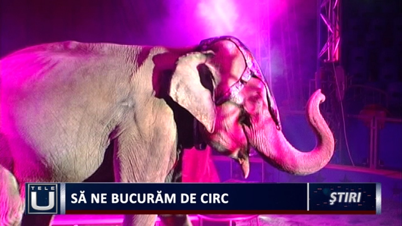 Să ne bucurăm de circ