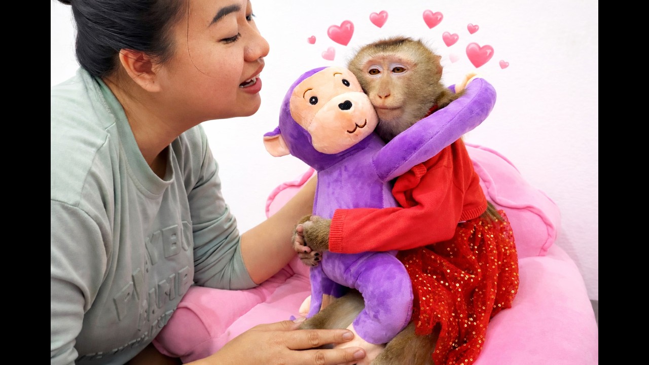 How heartwarming! Lyly the monkey was thrilled by the surprise gift her mother gave her.