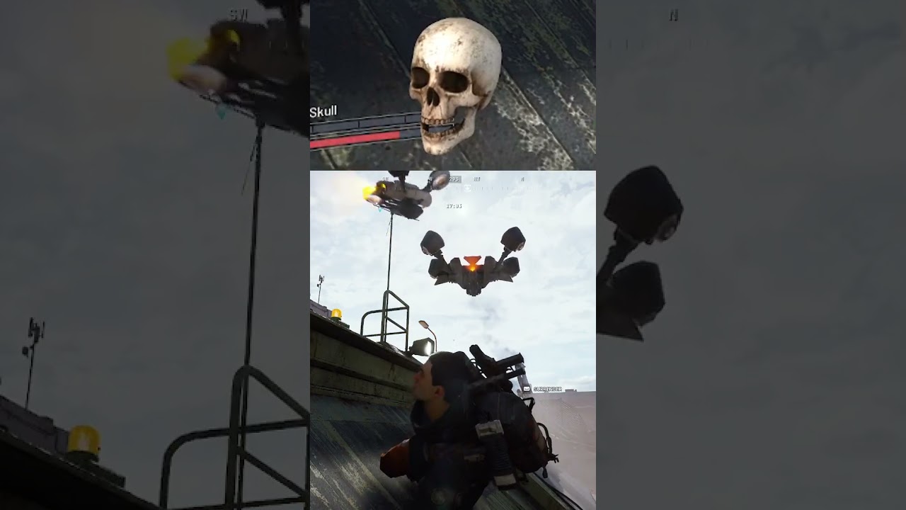 SilentSkull has Protection 