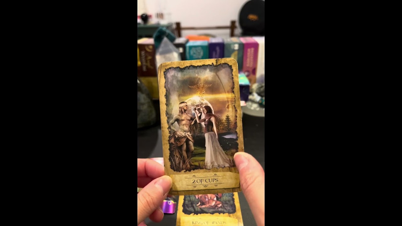 下一个疯狂爱你的人是谁？💘 他会怎么出现？你们的连结讯息来了｜塔罗占卜 #爱情 #灵魂伴侣 #timelessreading