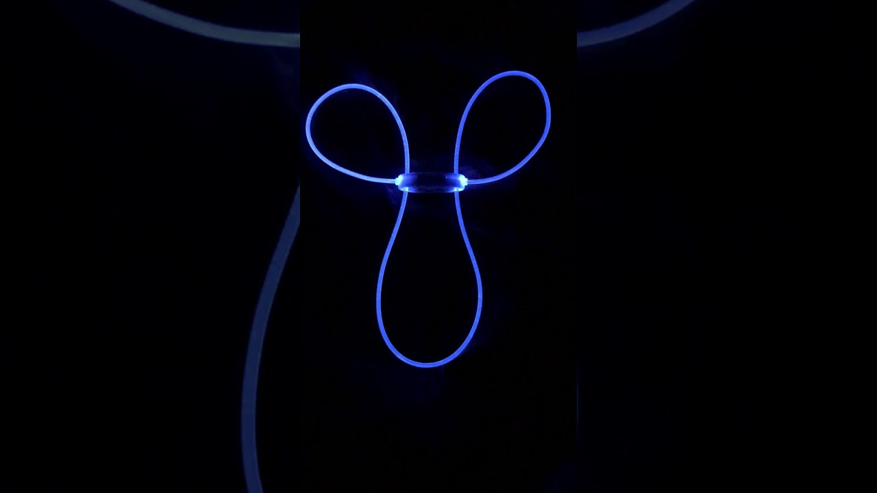 LED Dog Collar Demonstration - SalesHive