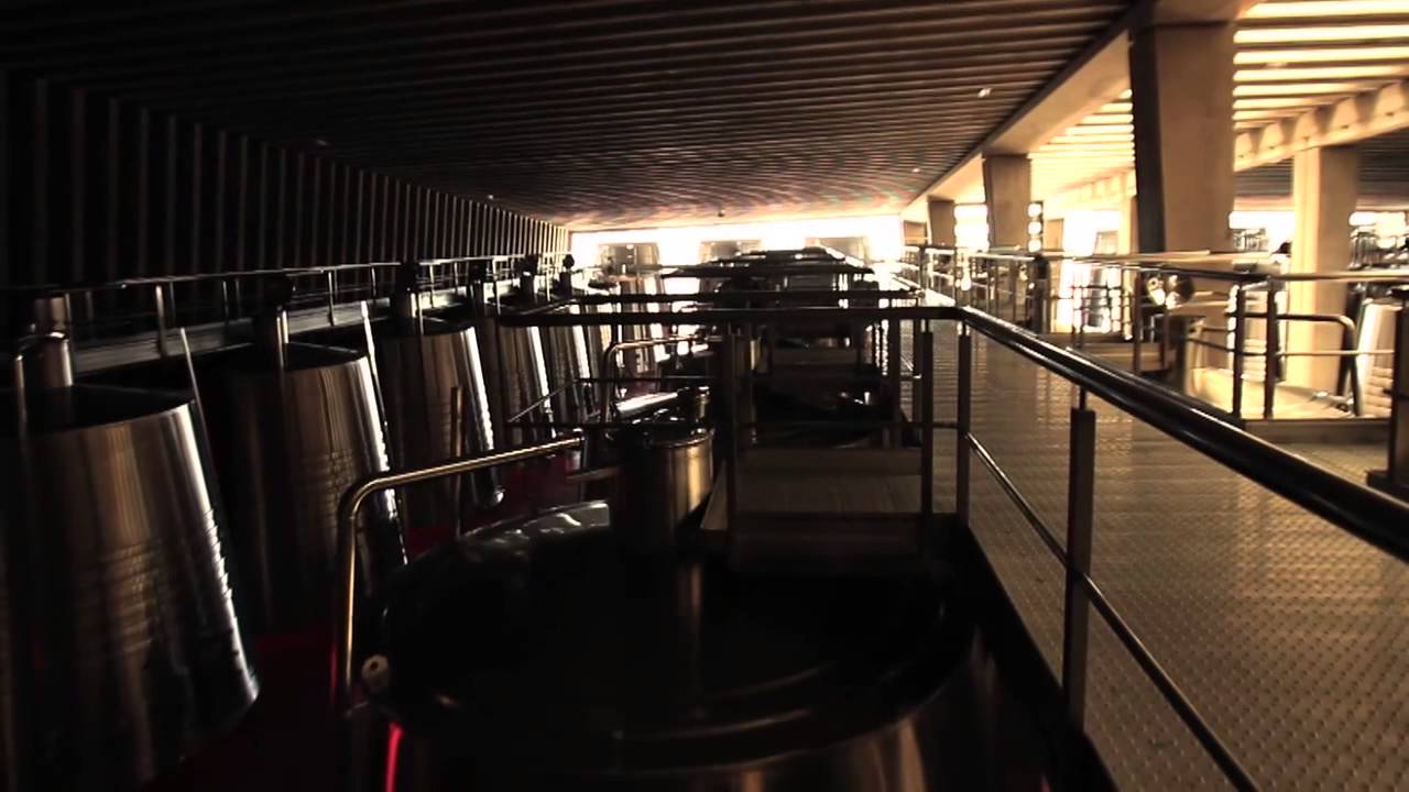 Descubre Bodegas Portia / Discover Portia Winery