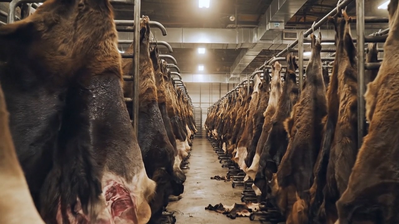 Inside the Largest Bison Leather Factory – From Raw Bison Hide to Luxury Fashion (Full  Process)