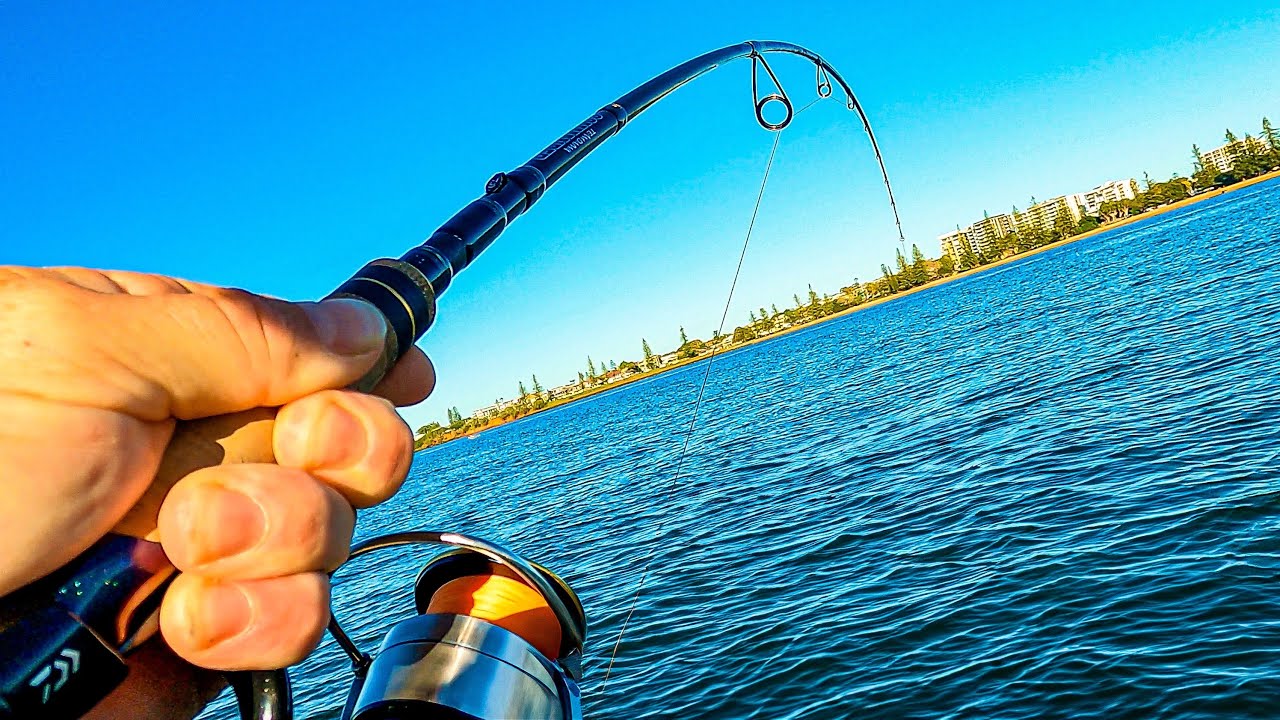 COULD IT BE? | MORETON BAY FISHING
