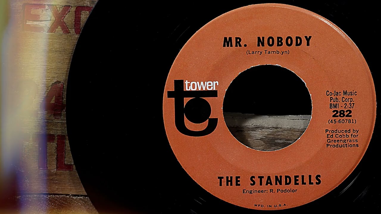 The Standells - Mr.  Nobody  ...1966