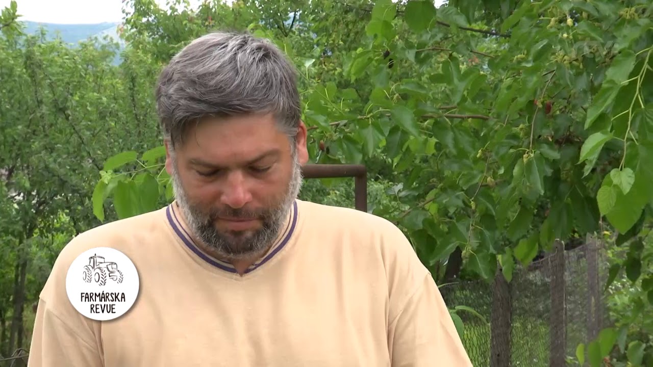 Farebné moruše