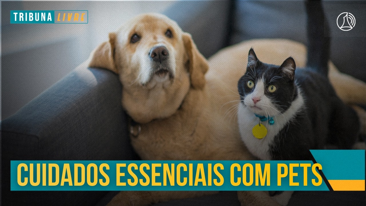 TRIBUNA LIVRE:  16.03.2026