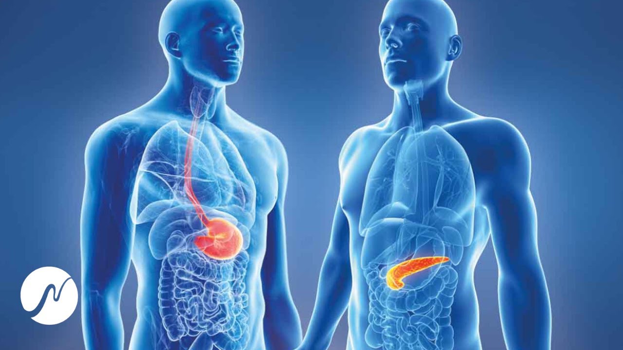 Pancreas Stimulation - 654 Hz - Healing Frequencies (Binaural Beats)