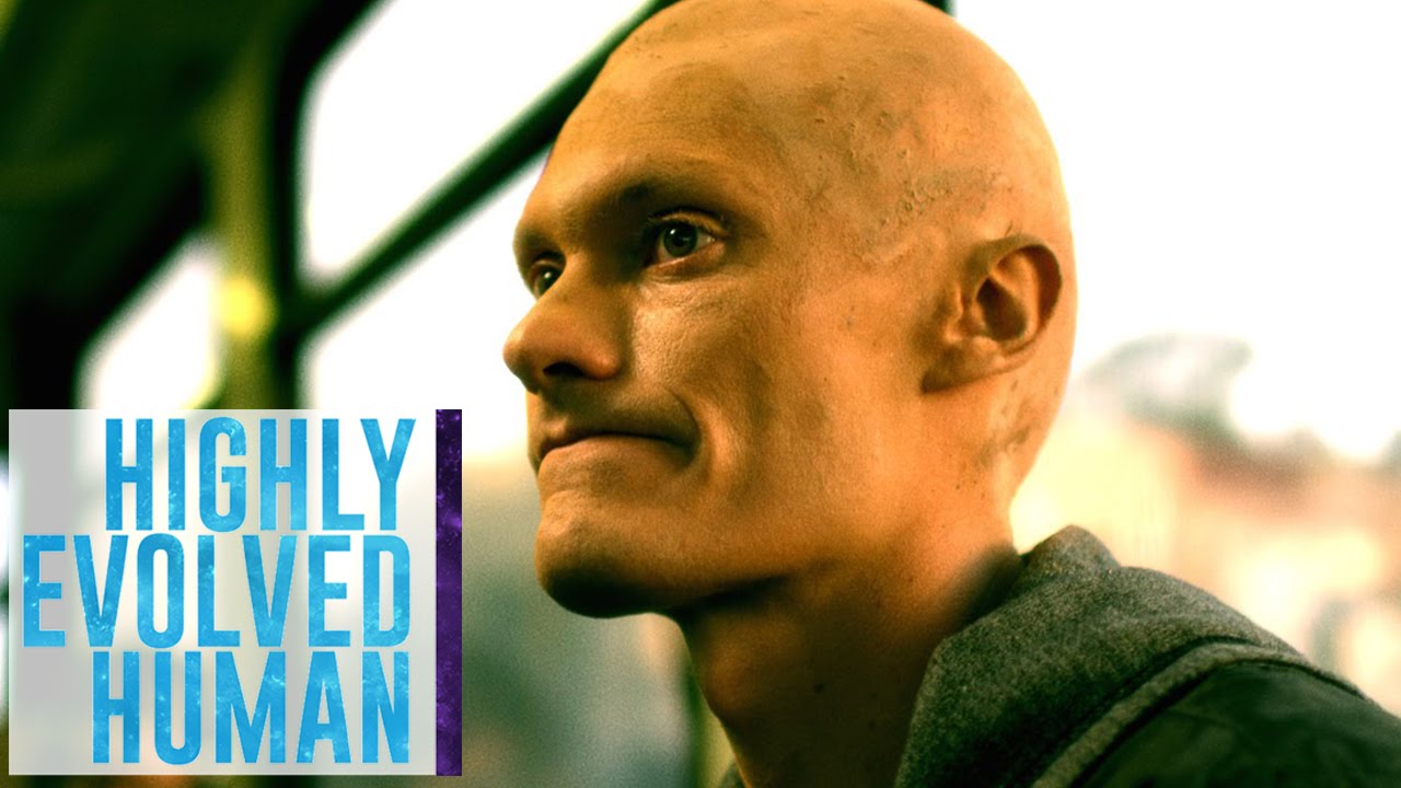 The Bus | Highly Evolved Human