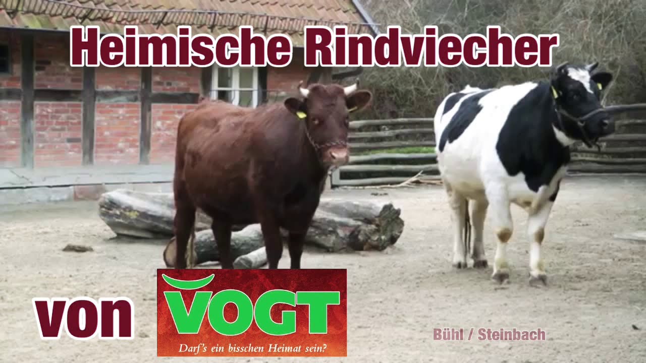 Dry aged Ochsenkotlett  - perfekt im Beeftec