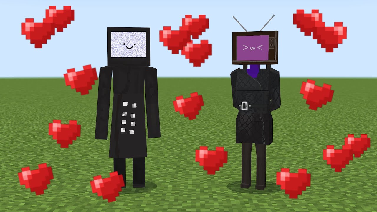 tv man ❤️ tv woman