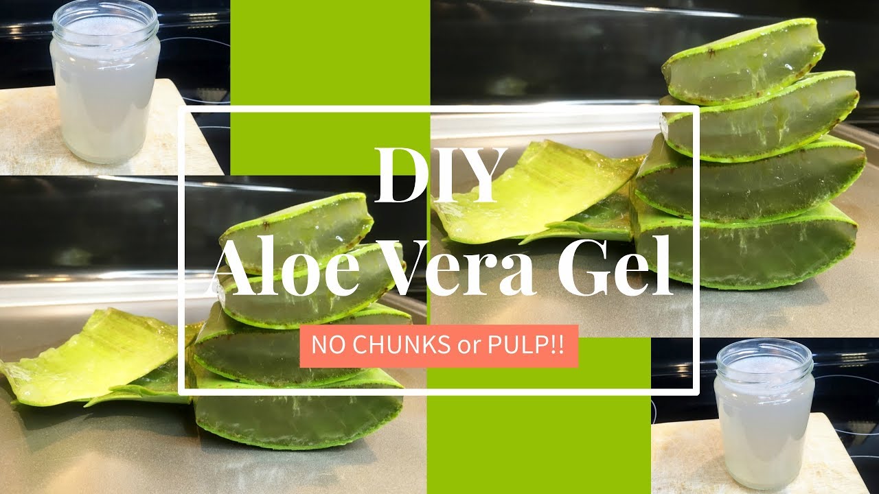 Homemade Aloe Vera Gel (NO CHUNKS!) | DIY | TheLifestyleLuxe