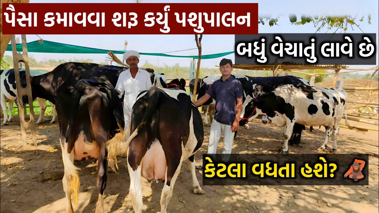 શરૂ કયું ભાગીદારીમાં પશુપાલન 💰 કમાણી જુઓ 😱Partnership Dairy Farming Success Story 💰