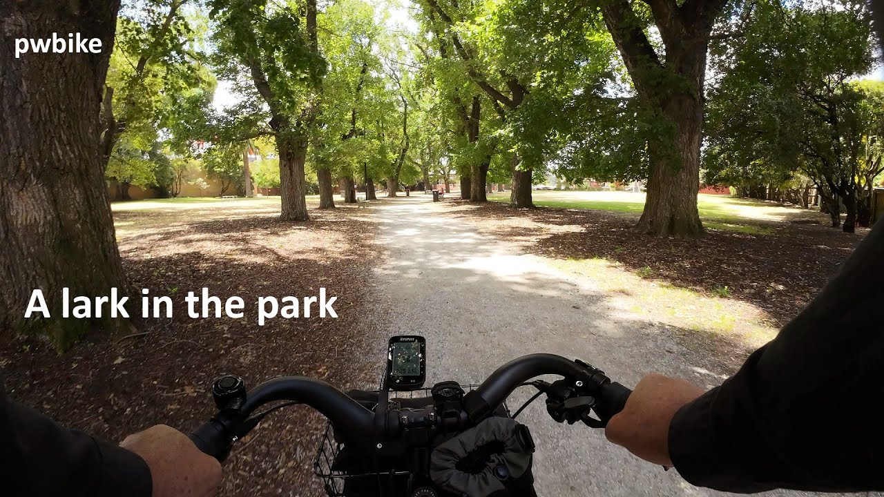 A lark in the park