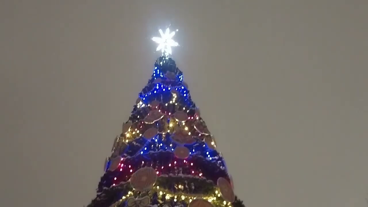 1 и 2 января по гостям. Разные квартиры