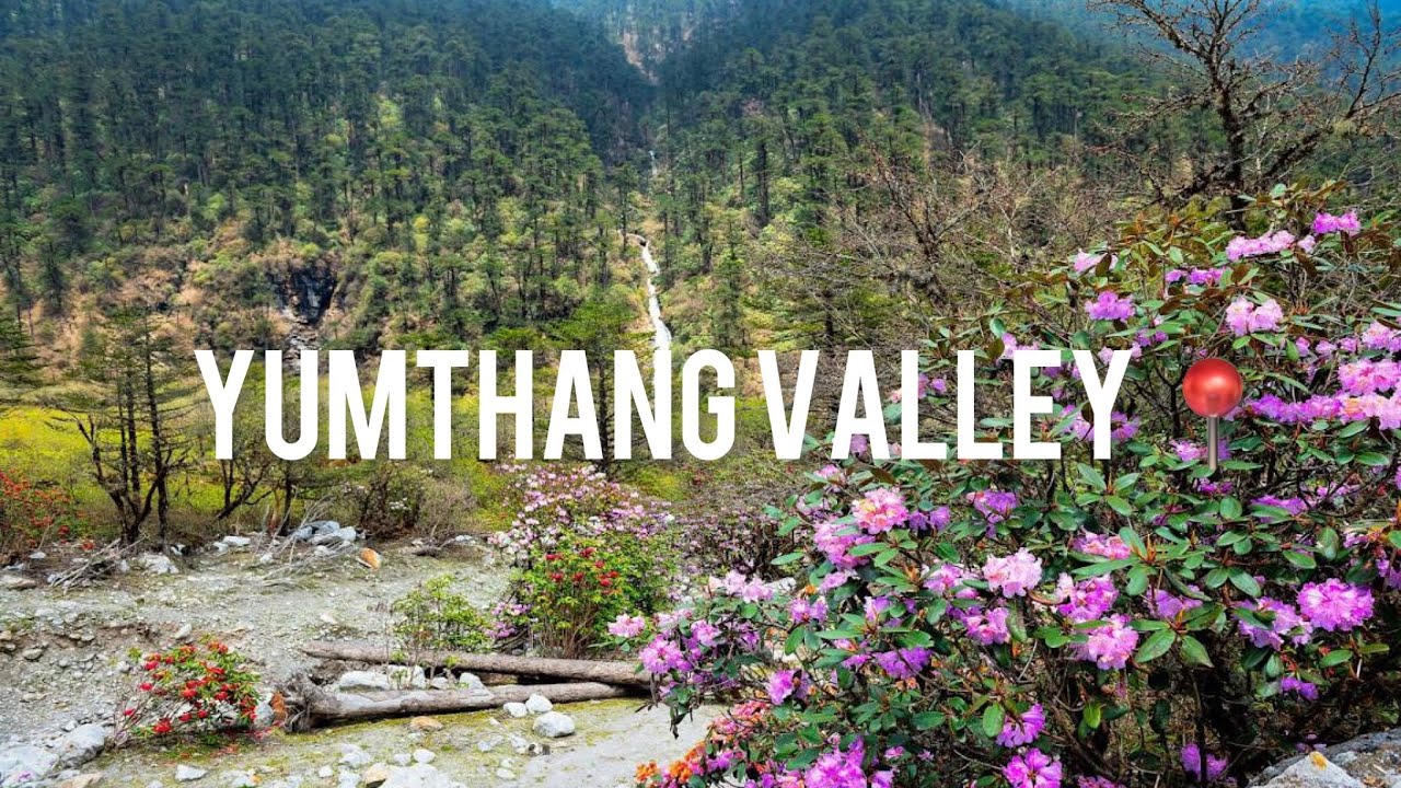 #nature The Yumthang Valley #nature or Sikkim Valley of Flowers sanctuary#travel