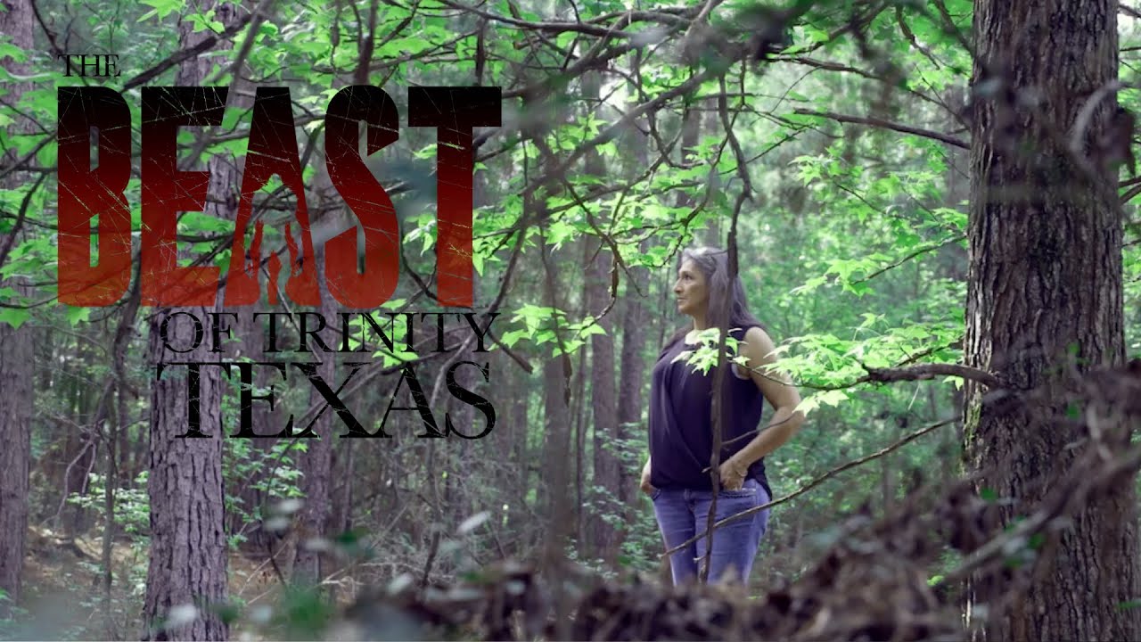 Seeing The Beast of Trinity Texas