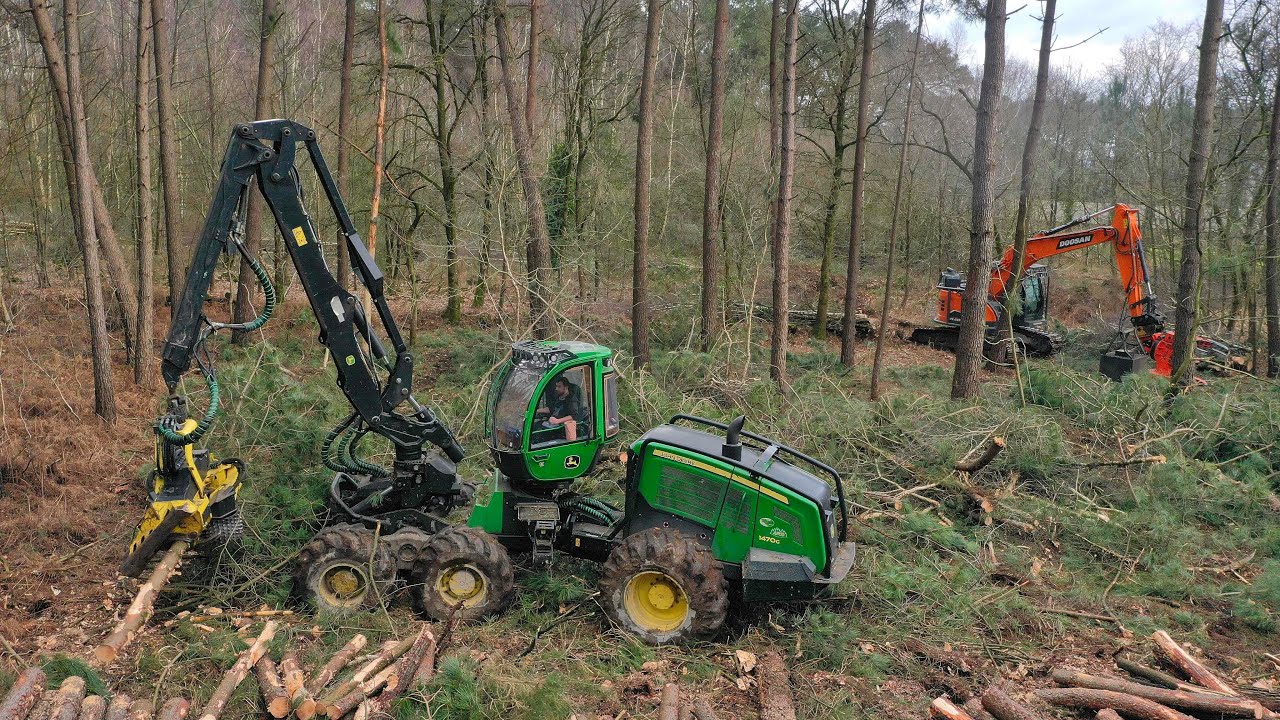 Abbatage de bois 🪵 / DOOSAN DX 235 / JOHN DEERE 1470 G / SAS GAUTHIER LUC