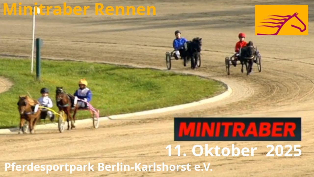 Minitraber Rennen 11.10.2025