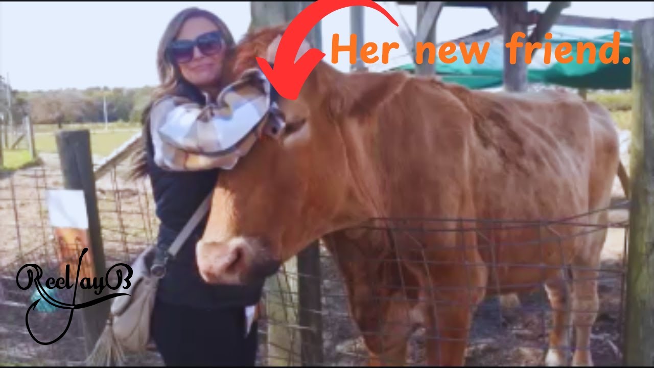 Прогулка по фермам Parsons Farms – осенние праздники в Дагсборо, Делавэр #ферма #осень #делавэр
