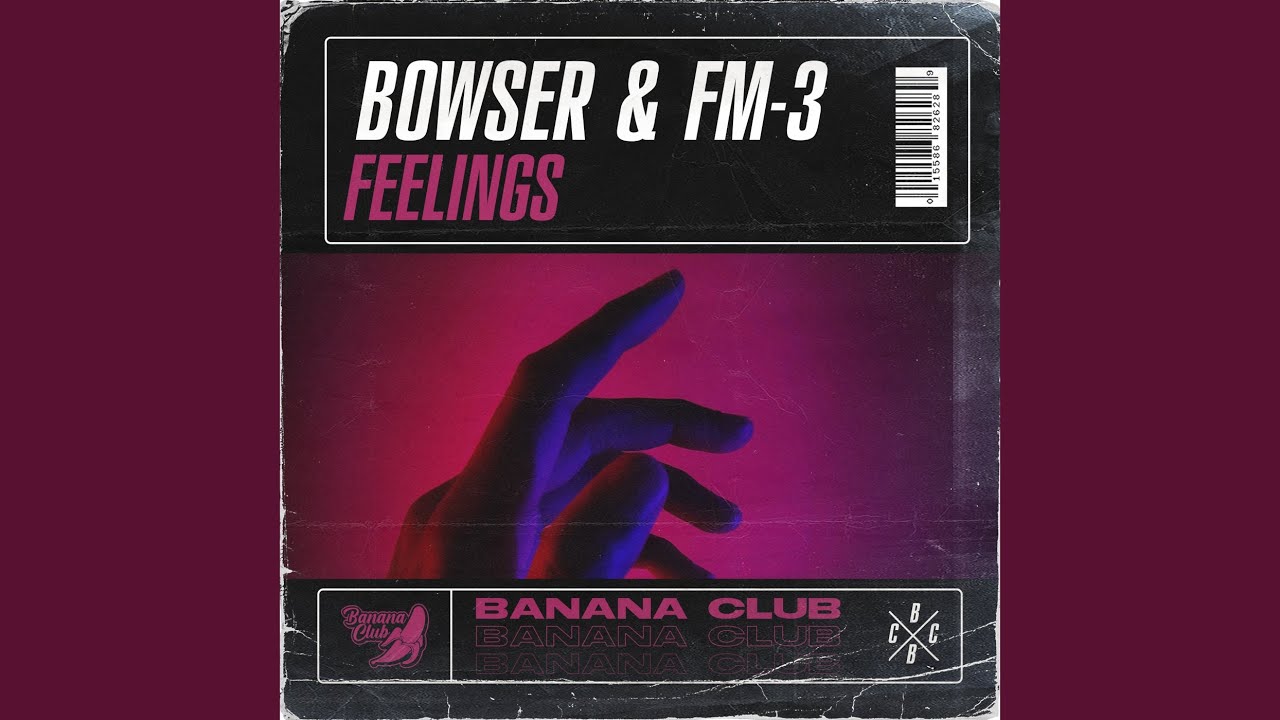 Feelings