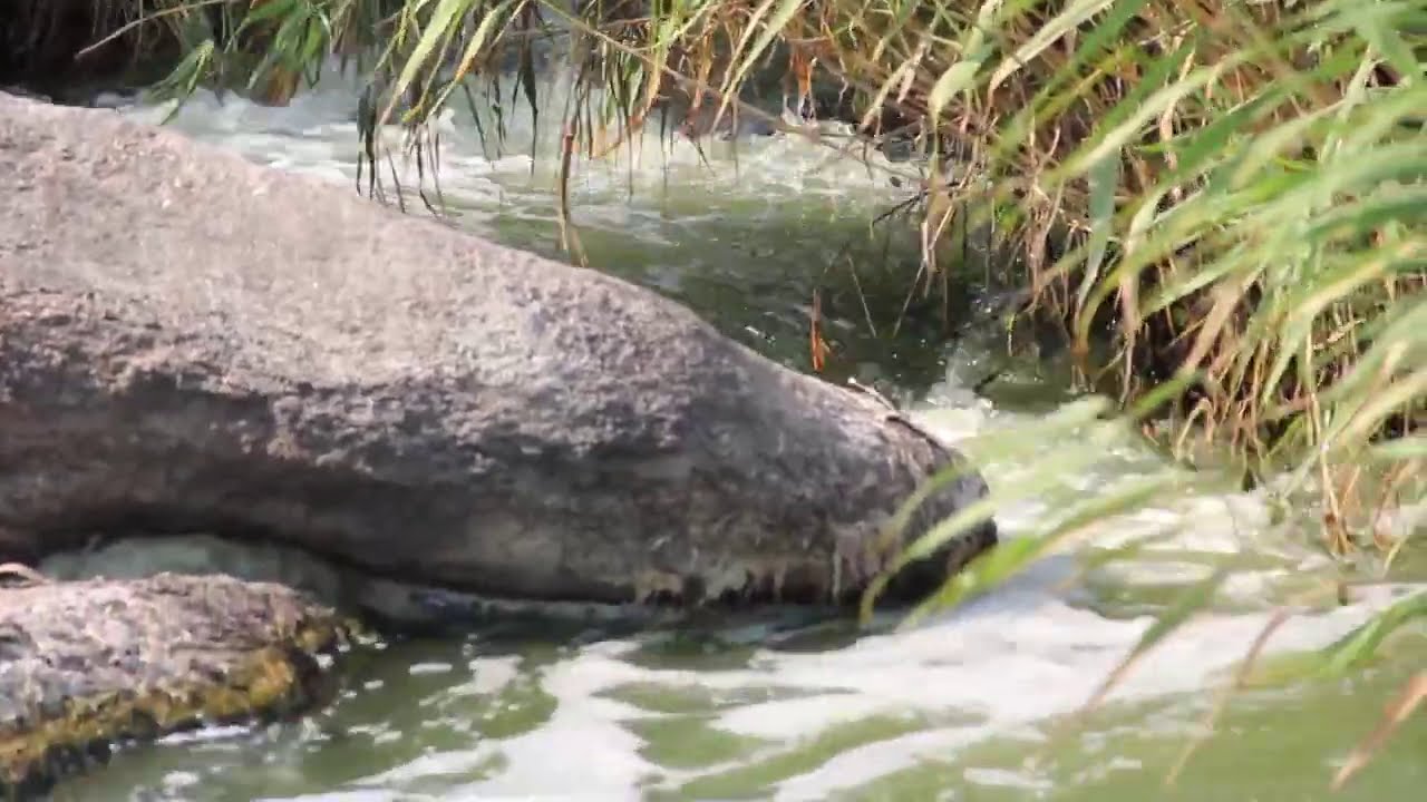 Токівський водоспад. Ранок з UA:Дніпро 14.07.2020