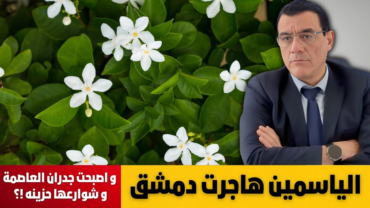 تفريغ العاصمة من أهلها. ماذا ينتظر مناطق نظام  الأسد!؟