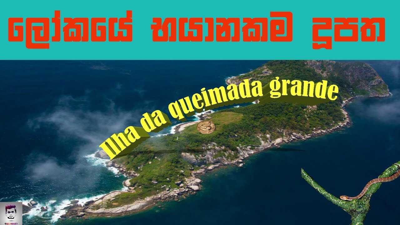ලොව භයානකම දූපත 🤔🙄 (The most dangerous island in the world) #ilhadaqueimadagrande 