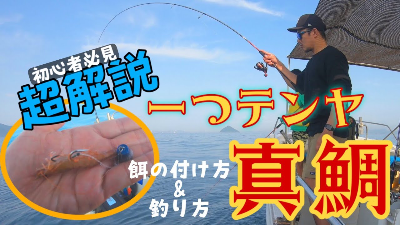 【一つテンヤ真鯛】餌の付け方から誘い方、釣り方を完全解説！初心者は観るべし【基礎編】