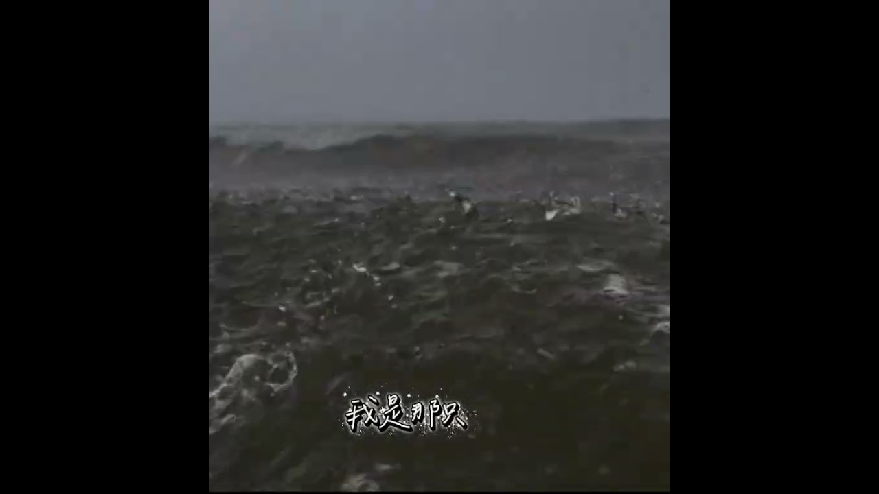 愛是一場風暴