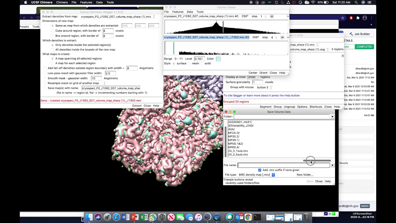 Localized mask Creation with Chimera (Segger)