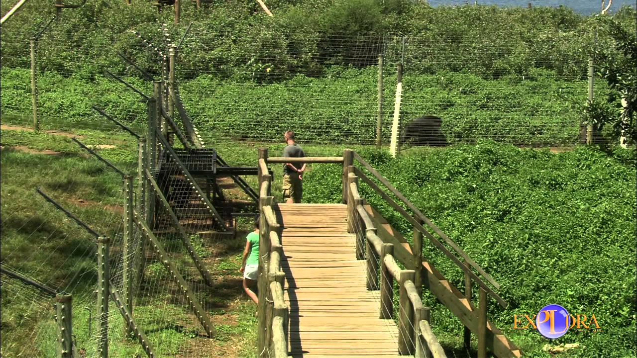 Santuario de Chimpancés