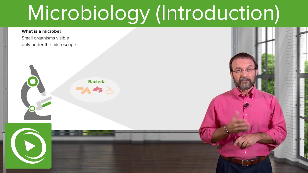 Introduction to Microbiology: Microbes & Bacteria &ndash; Microbiology| Lecturio