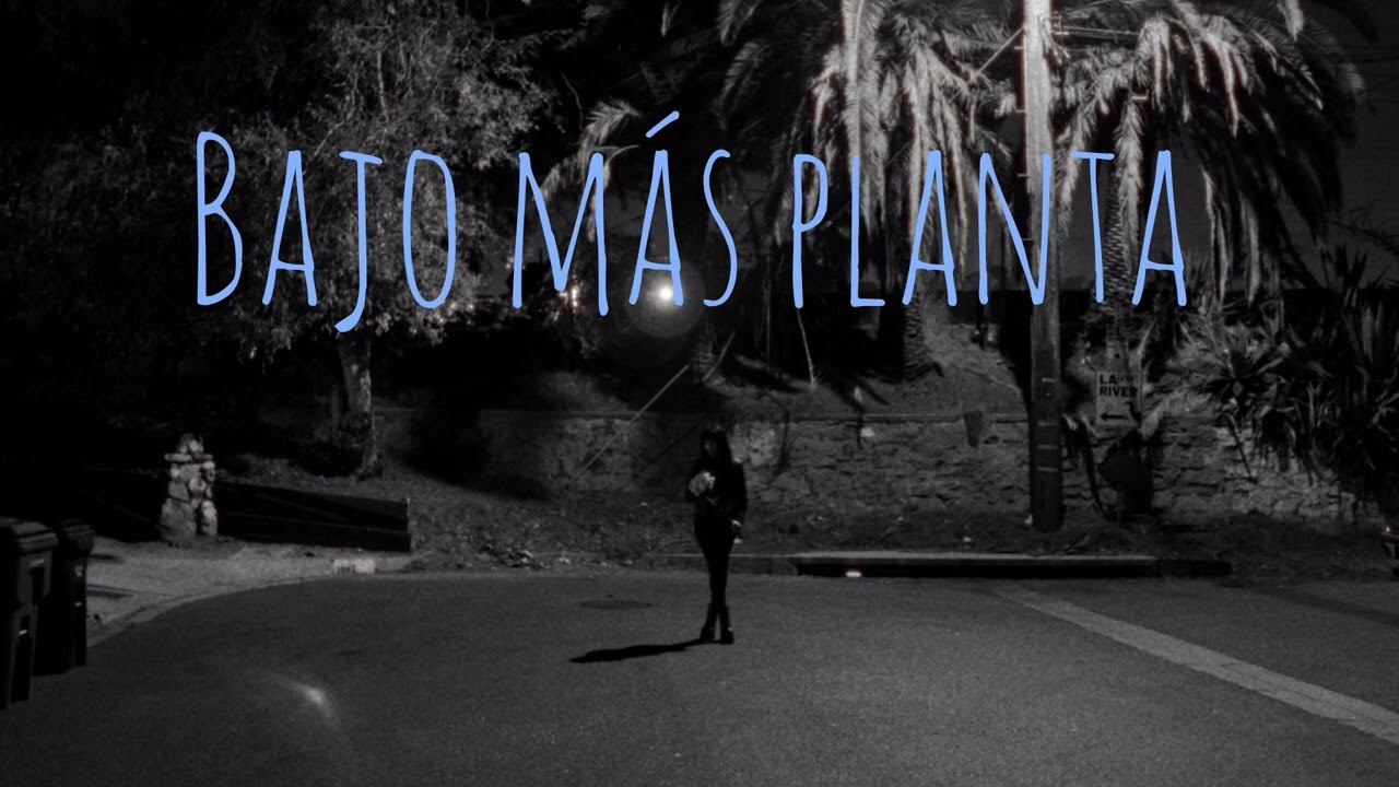Pipo el que se desaparece bajo mas planta