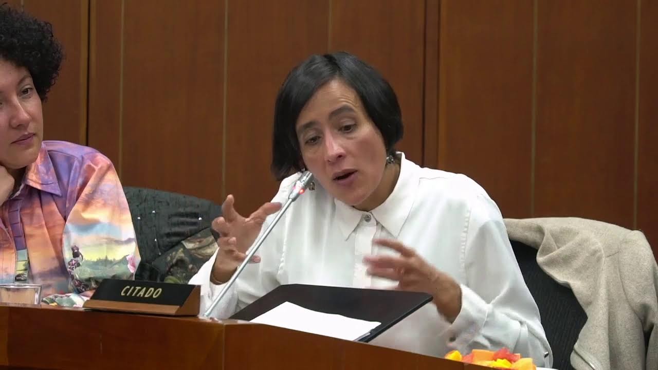 Detalles del sector ambiental en el Plan Nacional de Desarrollo