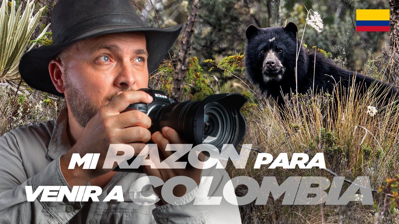 BUSCANDO al &Uacute;NICO OSO de SUDAM&Eacute;RICA - Parque Nacional CHINGAZA