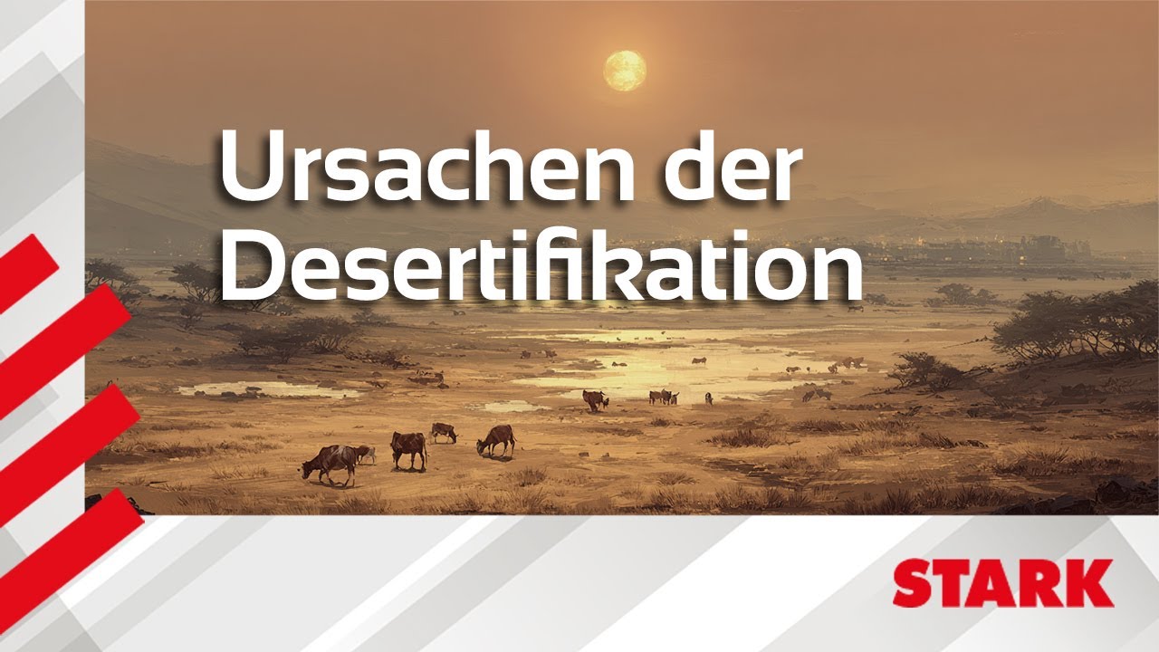 Wenn fruchtbares Land zur Wüste wird – Ursachen der Desertifikation | STARK erklärt