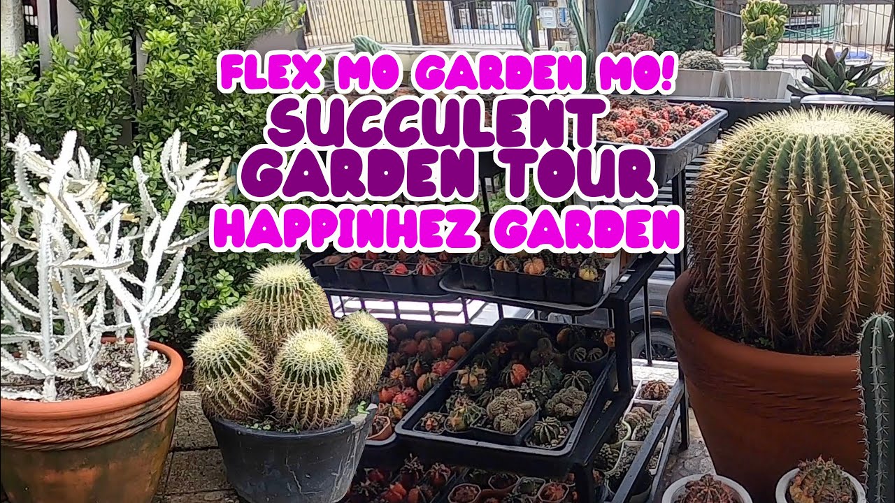 EP06 | HAPPINHEZ GARDEN | SUCCULENT GARDEN TOUR | By Intri's TV